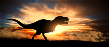 Silhouette Of A Tyrannosaurus Rex At Sunset