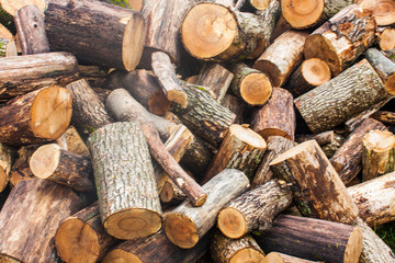 Poster - Woodpile of chopped lumber. Pile of wood logs. Stacked firewood timber