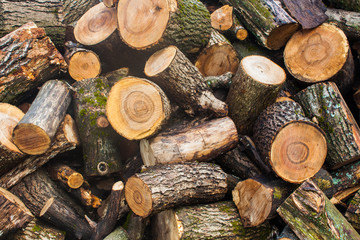 Poster - Woodpile of chopped lumber. Pile of wood logs. Stacked firewood timber