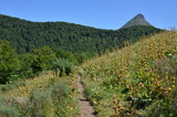 Fototapeta Do pokoju - Puy Griou, GR 400, Auvergne, France