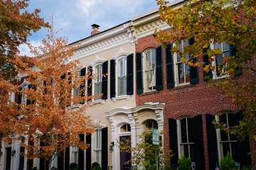 Sticker - Fall color and row houses in Old Town, Alexandria, Virginia