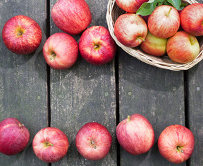 Wall Mural - Apple Border on a Rustic Wooden Surface