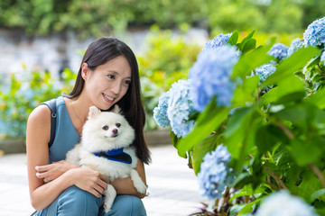 Sticker - Woman with her pomeranian dog in Hydrangea garden