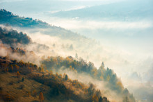 Beautiful Foggy Autumn Background. Lovely Scenery With Forest On Hill