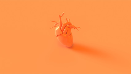 Wall Mural - Orange Anatomical Heart Concept 3d illustration 3d render