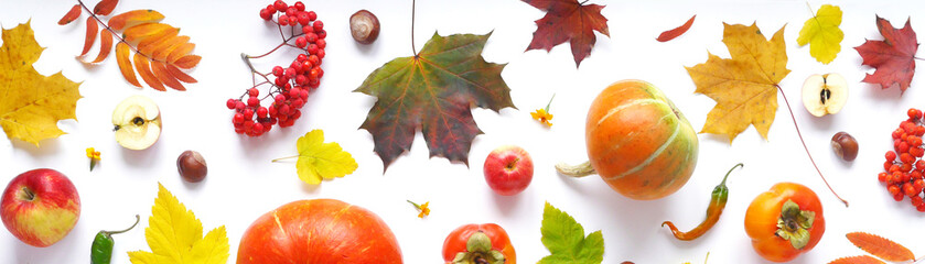 Wall Mural - Banner of autumn yellow, orange and red maple leaves, vegetables and fruits isolated on white background, top view, flat layout.