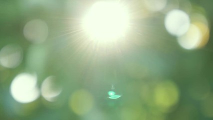 green leafs bokeh background with sun lens glare