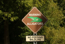 Alligator Warning Sign