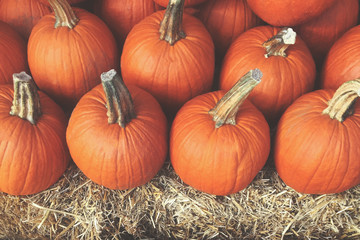 pile of pumpkins with hay