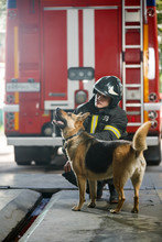 Photo Of Fireman Squatting Next To Shepherd Near Fire Engine
