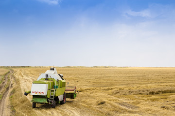 combine harvesting a field of wheat