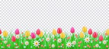 Green Meadow Grass, Tulip Daisy Flowers Border Frame, Template On Transparent Background. Spring Summer Sale Template For Retail Poster And Advertising Design Wtih Text Space. Vector Illustration