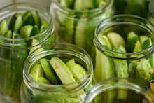 Cucumber Background Many Cucumbers. Cucumbers From The Field. In Glass Jars