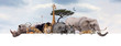 Leinwandbild Motiv Safari Zoo Animals Over Web Banner