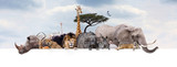 Fototapeta Zwierzęta - Safari Zoo Animals Over Web Banner
