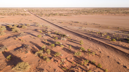 Canvas Print - Sturt National Park, dingo fence stretches thousands of miles across Australia.