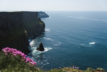 Wall Mural - Cliffs of Moher, Ireland, on a Sunny Day, with Flowers