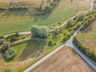 Wall Mural - Aerial view of road trough rural landscape with bushes during sunset in Switzerland