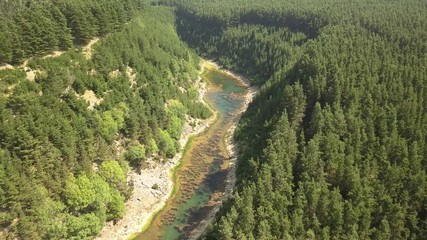 Wall Mural - aerial drone view flying over a forest then descending towards a lake inside a narrow canyon