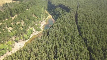 Wall Mural - aerial drone view flying over a forest revealing a narrow canyon containing a lake (blaencuffin, wal
