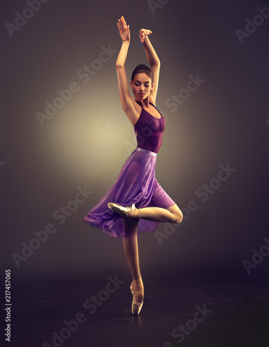 Εκτύπωση καμβά Ballerina