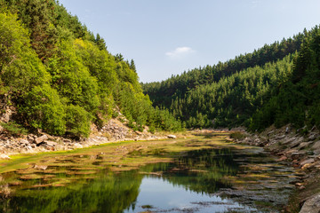 Wall Mural - a beautiful shallow lake in a small canyon surrounded by forest and trees