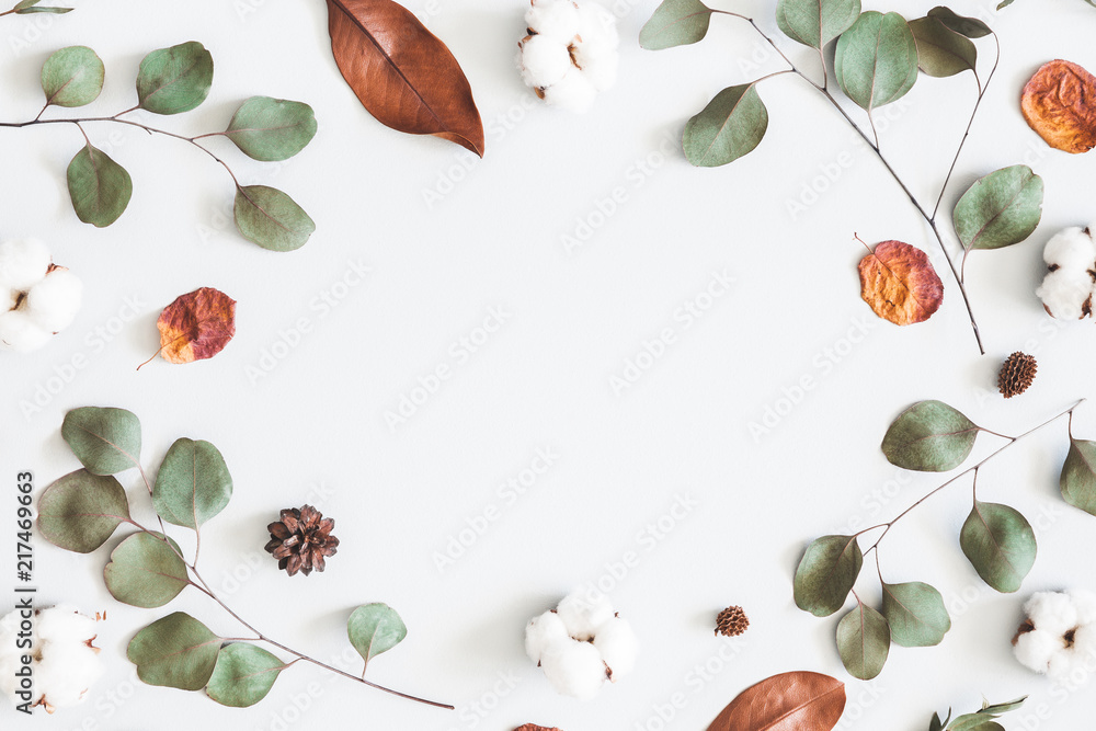 Autumn composition. Frame made of eucalyptus branches, cotton flowers, dried leaves on white background. Autumn, fall concept. Flat lay, top view, copy space - obrazy, fototapety, plakaty 