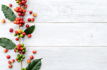 Red Berry Coffee Beans On White Wooden Background With Copy Space