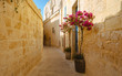 Malta Mdina closeup of a typical narrow alley with beautiful little tree