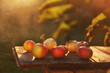Apples on wooden table outdoor. Beautiful sunset Summer and autumnal natural background