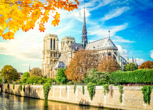 Obraz Dibond Notre Dame katedra nad Sekwany przy spadku dniem, Paryż, Francja