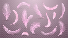 Vector Pink Feathers Collection, Set Of Different Falling Fluffy Twirled Feathers, Isolated On Transparent Background. Realistic Style, Vector 3d Illustration.