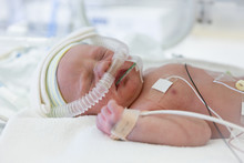 Premature Newborn Baby In Incubator