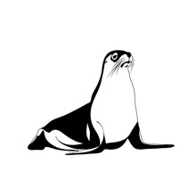 Seal Animal. Vector Logo. Black And White Image