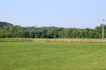 the green grass field and pasture in the countryside.