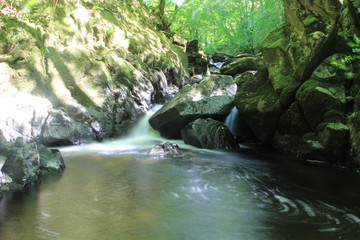 Nature Landscape Background