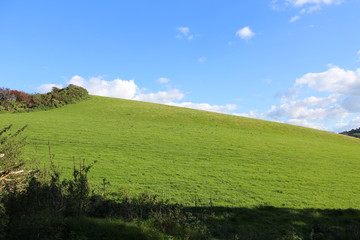 Countryside Nature Landscape Background