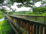 Fototapeta Pomosty - 公園の木橋と東屋