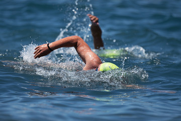 Wall Mural - Swimmers swimming crawl in blue sea,training for triathlon