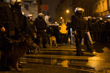 Street riots , police dogs - Poland.