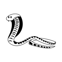 Cobra african snake vector illustration graphic design