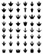 © KatarinaF - Black footprints of dinosaurs on a white background