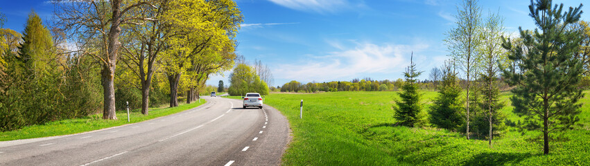 Canvas Print - asphalt road panorama in countryside on sunny summer day