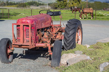 Retired Old Red Tractor On A Farm With Grazing Horses In A Green Pasture
