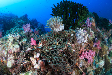 Wall Mural - An abandoned ghost fishing net tangled on corals on a tropical reef