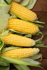 Wall Mural - Fresh corn on cobs on rustic wooden table, closeup. Top view