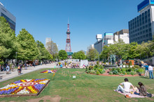 晴れた日の大通公園 / 札幌市の観光イメージ
