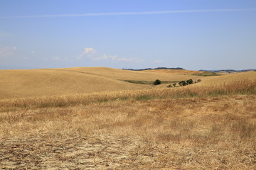 Wall Mural - Paesaggio Toscano