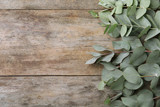 Fototapeta  - Flat lay composition with fresh eucalyptus leaves and space for design on wooden background