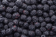 Fresh ripe blackberries as background, top view